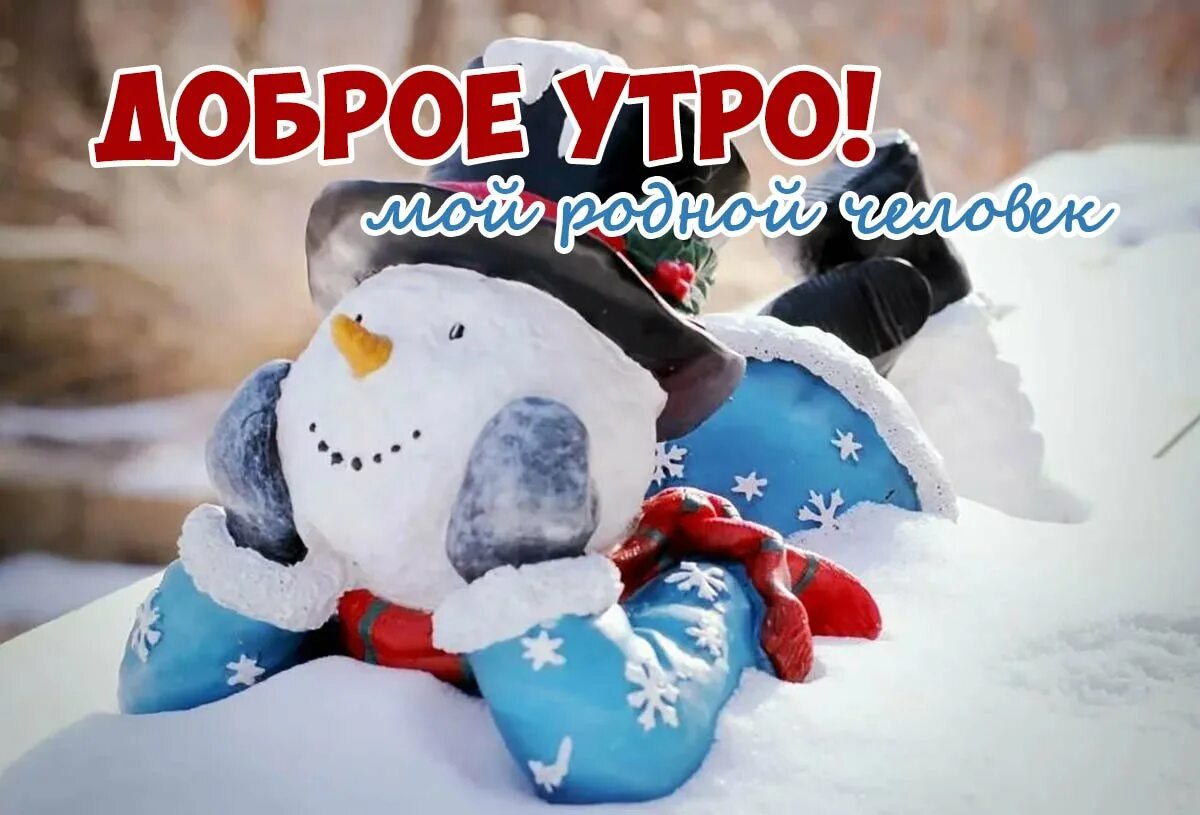Картинка доброе утро зимняя прикольные. Доброе утро зима. с добрым зимним утром. с добрым зимним утром прикольные. доброе морозное утро прикольные.