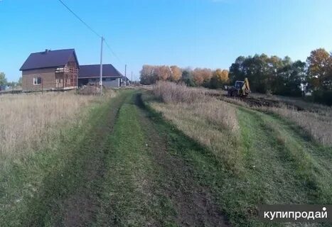 11 сот