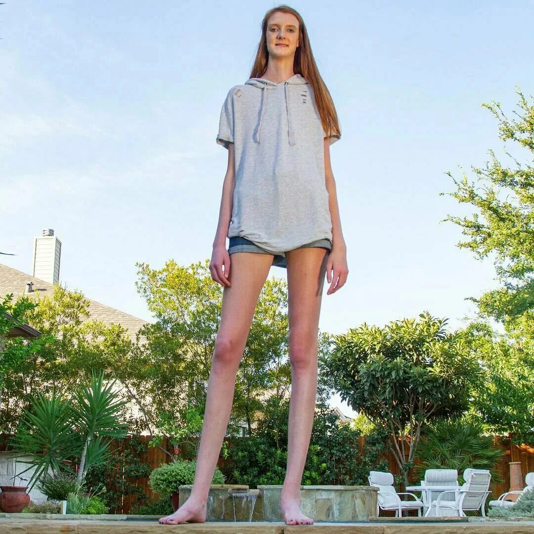 Tall model