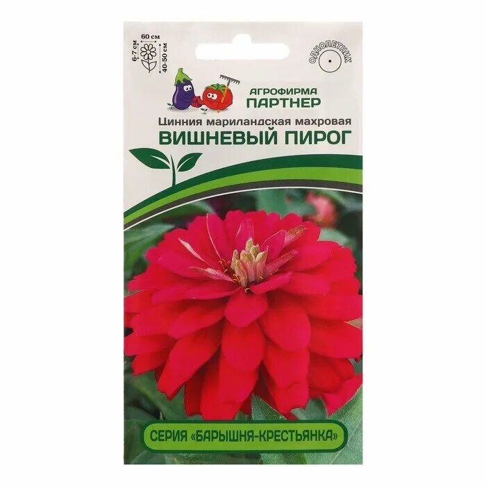 циния барышня крестьянка. цинния семена партнер. цинния медовая коврижка партнер. цинии партнер медовая коврижка. цинния махровая барышня-крестьянка.