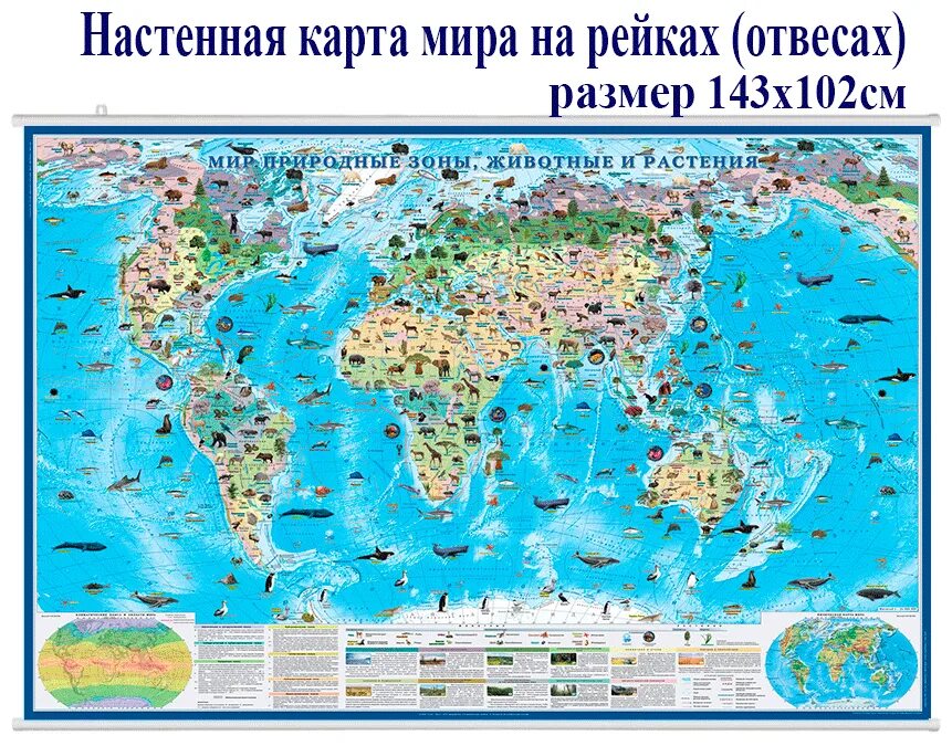 Мир природные зоны животные и растения настенная карта. Географическая карта. Как правильно показывать объекты на настенной карте