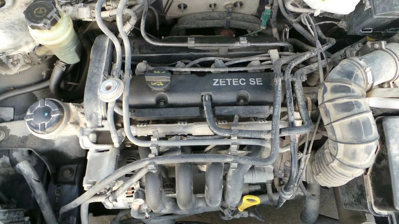 Zetec 1.8 купить. Двигатель Форд фокус 2 1.8. Форд фокус 1 1.6 Zetec. Двигатель Форд фокус 1 1.6. Двигатель ЗЕТЕК 1.8 Форд фокус 1.