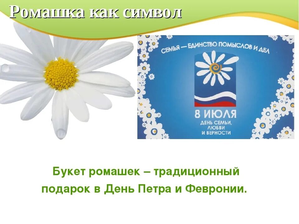 Ромашка неофициальный символ россии. Ромашка символ семьи. Символ дня семьи любви и верности. День семьи любви и верности Ромашка. Ромашка символ России.