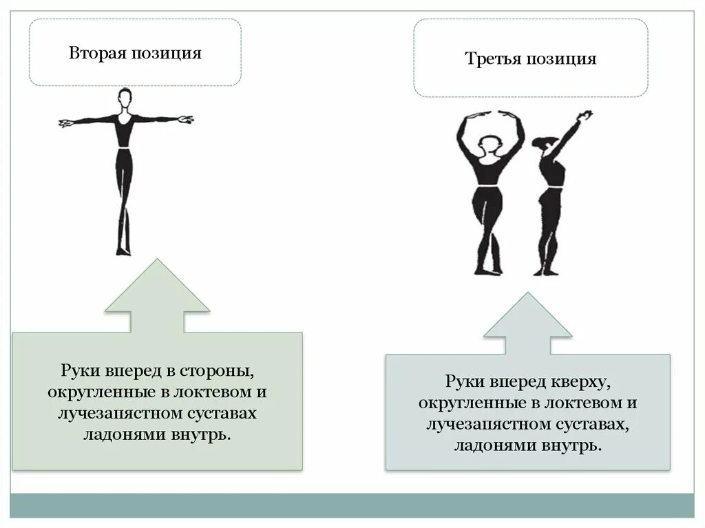 Вторая позиция рук. Первая позиция рук в классическом танце. Вторая позиция. Руки в различных положениях.