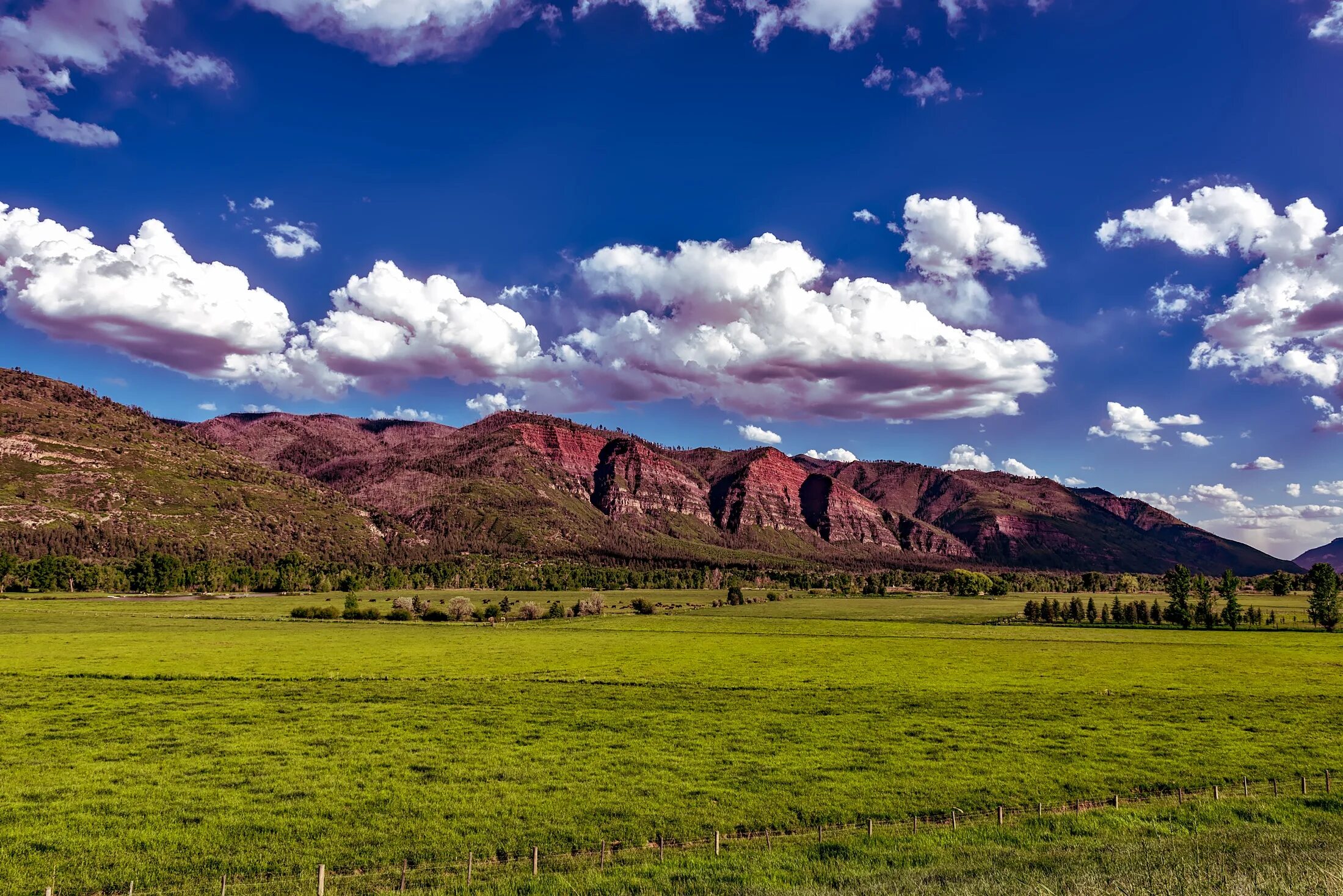 Как называется равнина на горе. Штат Колорадо равнины. Горы Колорадо. Кордильеры Альпийские Луга. Прерии Колорадо.