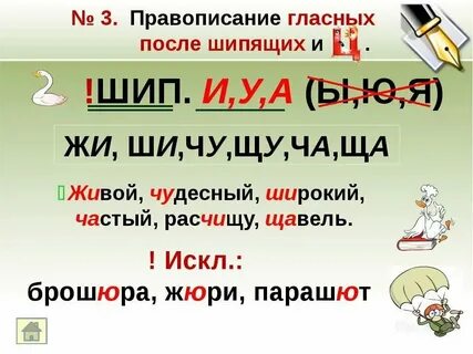 Слова после ж ш буква ю