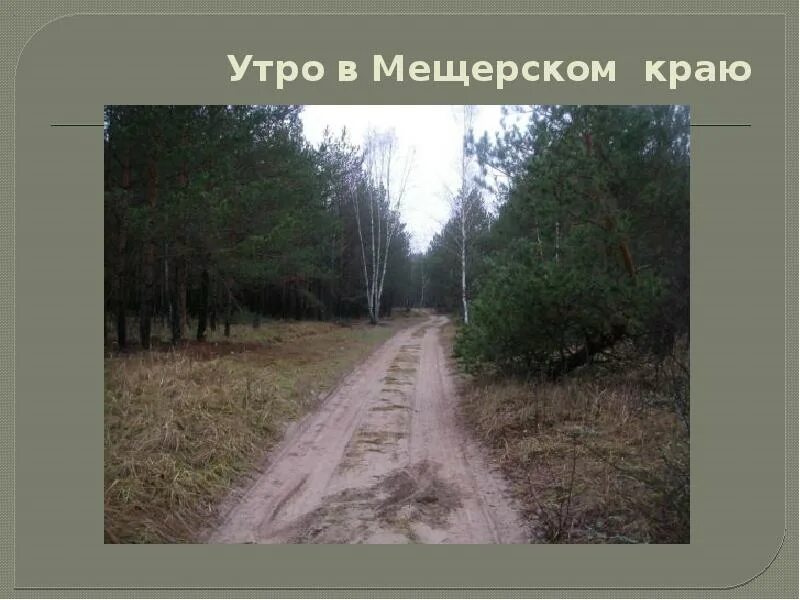 Мещерский край изложение. К г паустовский обыкновенная земля. паустовский мещерский край изложение. обыкновенная земля в мещерском. мещерская сторона.