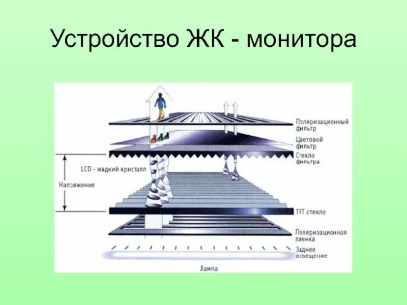 Работа жк дисплеев. Устройство ЖК матрицы монитора. Строение LCD монитора. ЖК матрица для монитора конструкция. Жидкокристаллические мониторы схема.