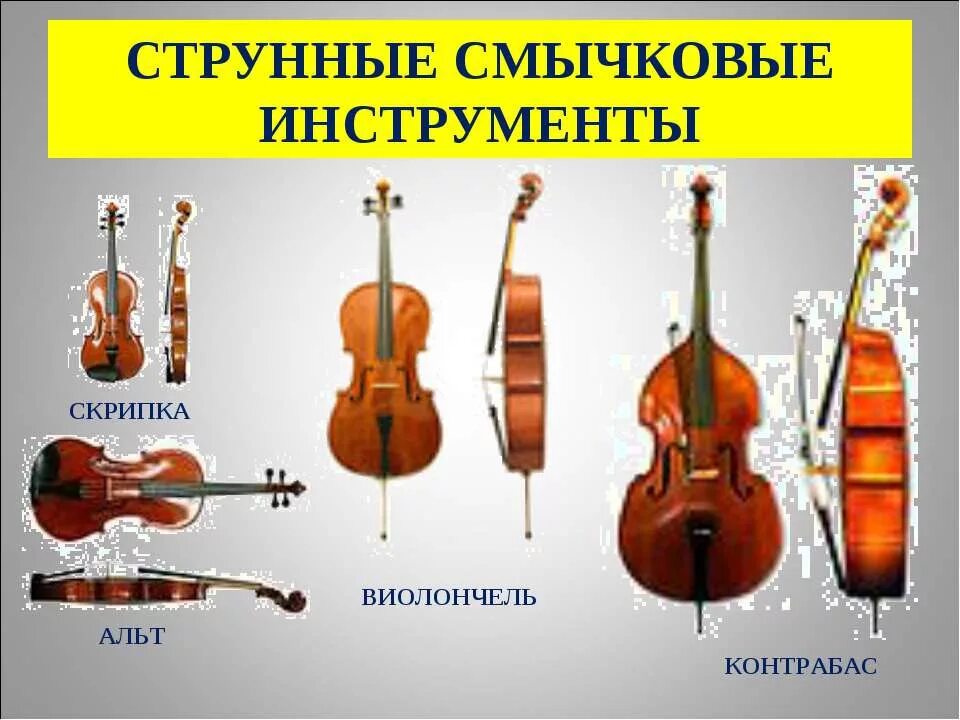 Типа альт. Струнные смычковые инструменты альт. струнно-смычковые музыкальные инструменты названия. струнные смычковые музыкальные инструменты картинки с названиями. альт струнные смычковые музыкальные инструменты альтисты.
