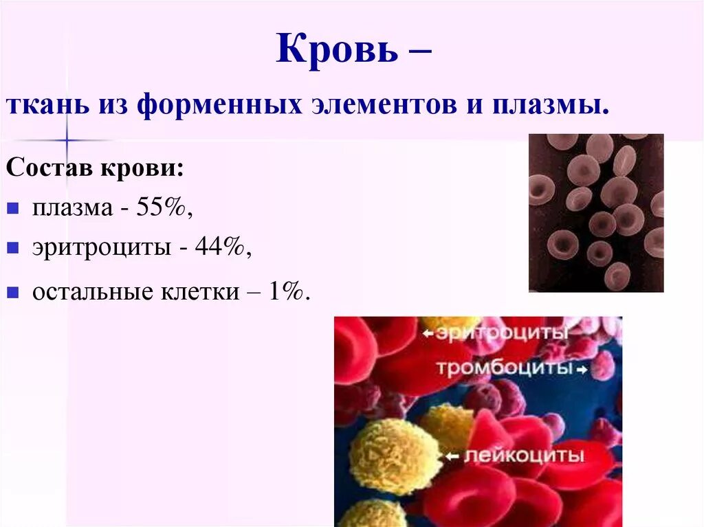 Плазма и форменные элементы крови. Кровь плазма и форменные элементы крови. Кровь состоит из плазмы и форменных элементов клеток. Состав крови плазма крови форменные элементы.