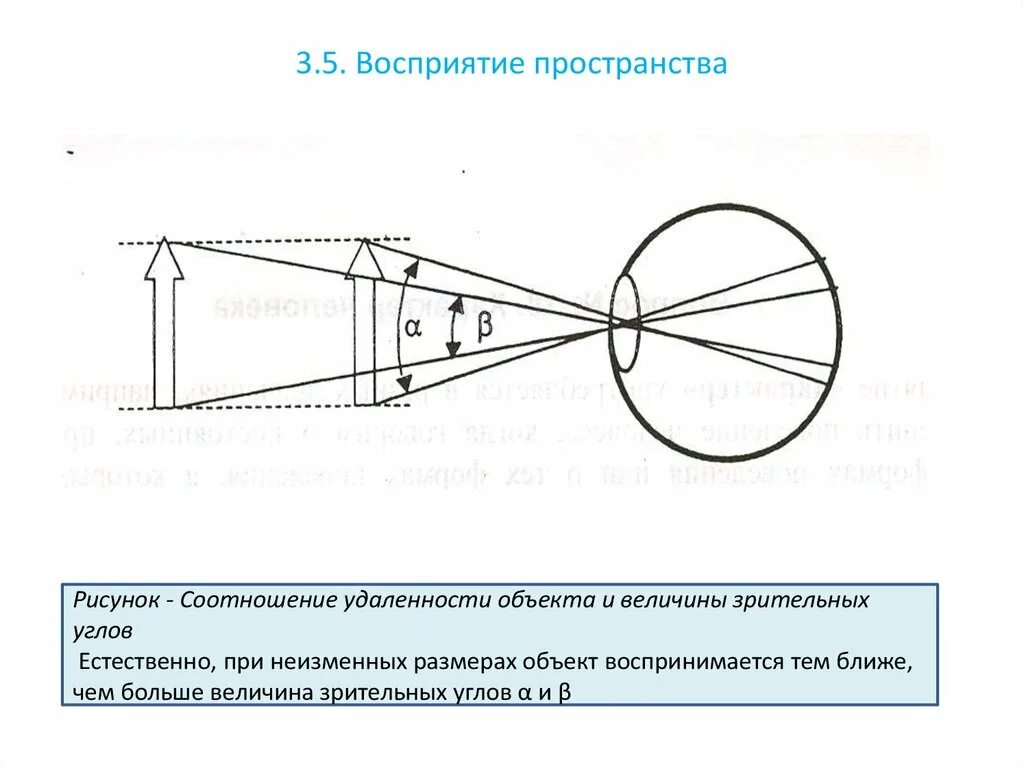 Восприятие пространства пример. Зрительное восприятие формы и пространства. Восприятие пространства. Механизмы зрительного восприятия.. Схема восприятия пространства.