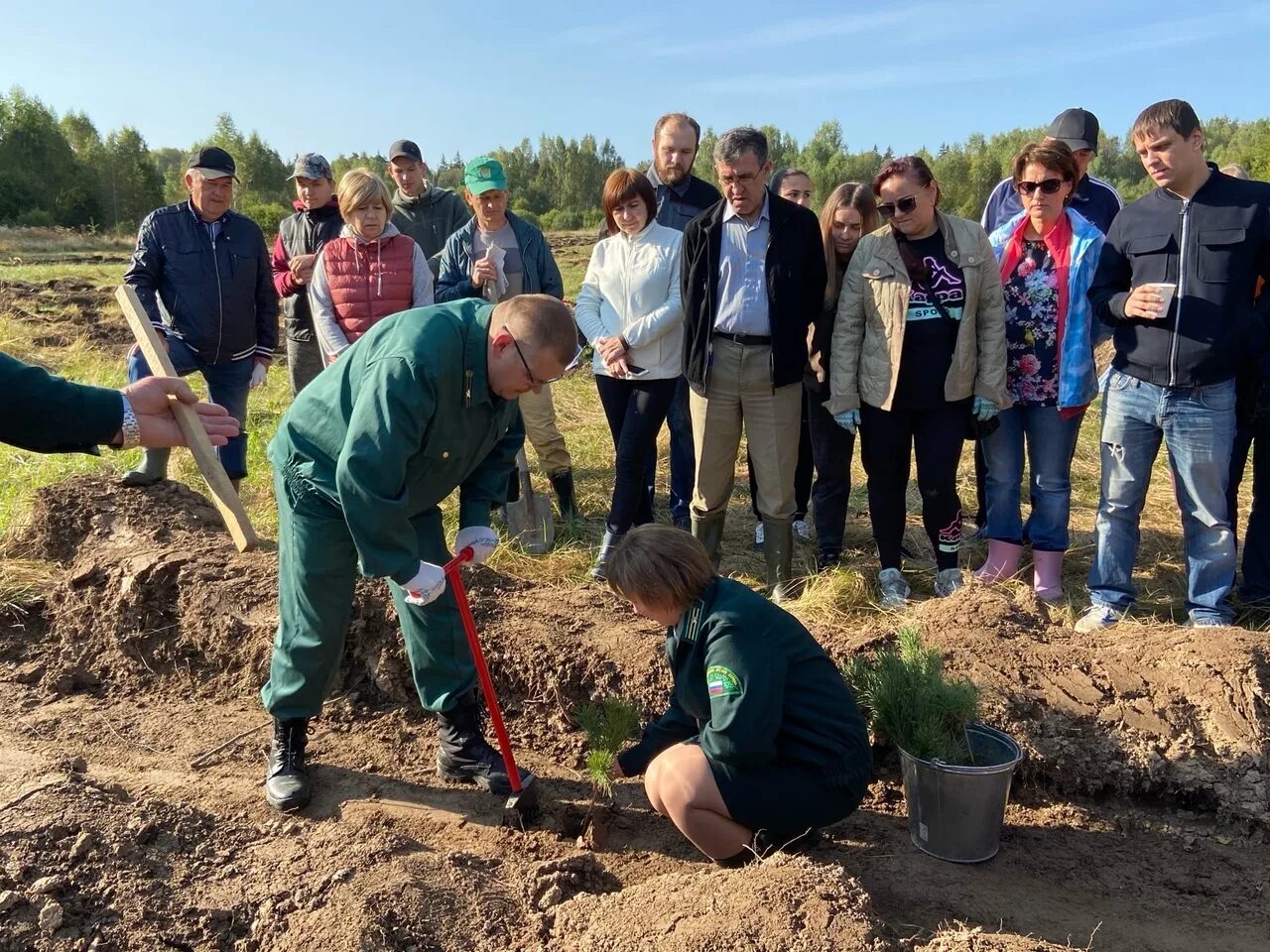 811 минприроды. Центр защиты леса Калужской области. Министерство природы Калужской области. Министерство природных ресурсов Калуга. Министерство природных ресурсов и экологии Калужской области сайт.