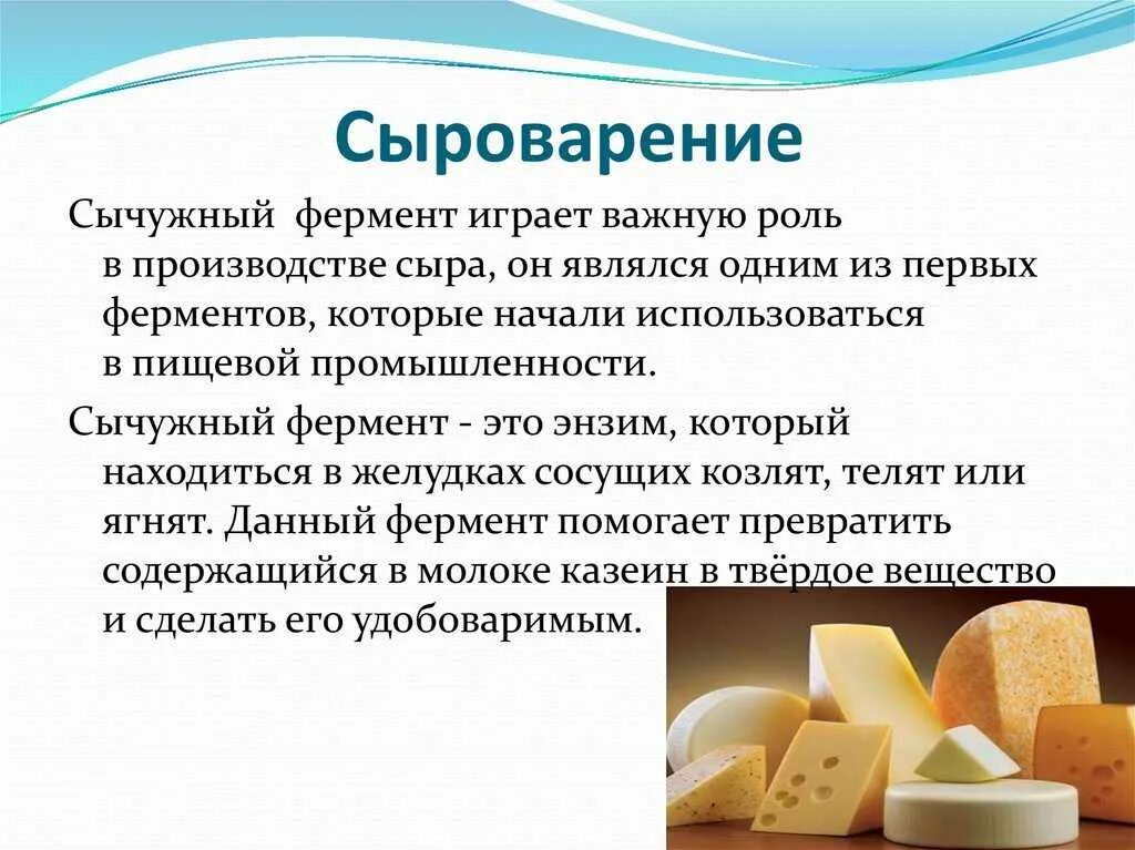 Рецепт сыра с сычужным ферментом. Ферменты для сыроделия. Ферменты в производстве сыра. Сычужный фермент для сыра на производстве. Используют в производстве сыров.