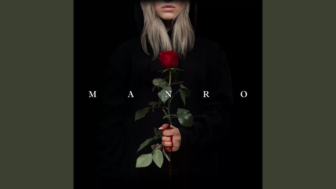 Роза ассирия. Уторова изольда. Песни розы цвета алого. Красные розы. Розы цвета алого текст.