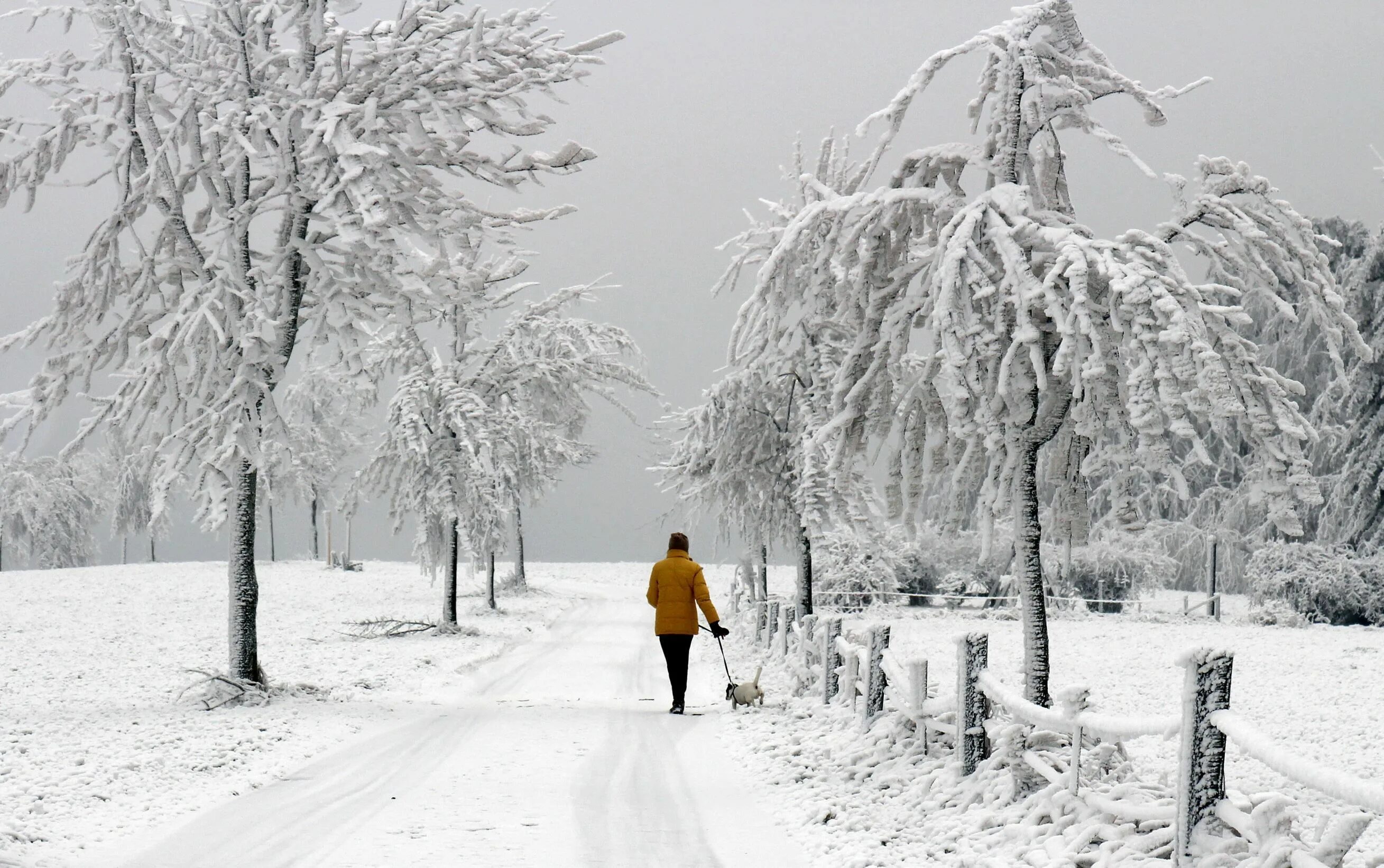 Freezing us. Freezing Winter. Prisoner of Ice and Snow. Winter scenery. Freezing Europe.