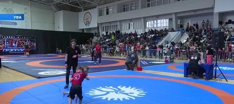Чемпионат по грэпплингу 2024 астана