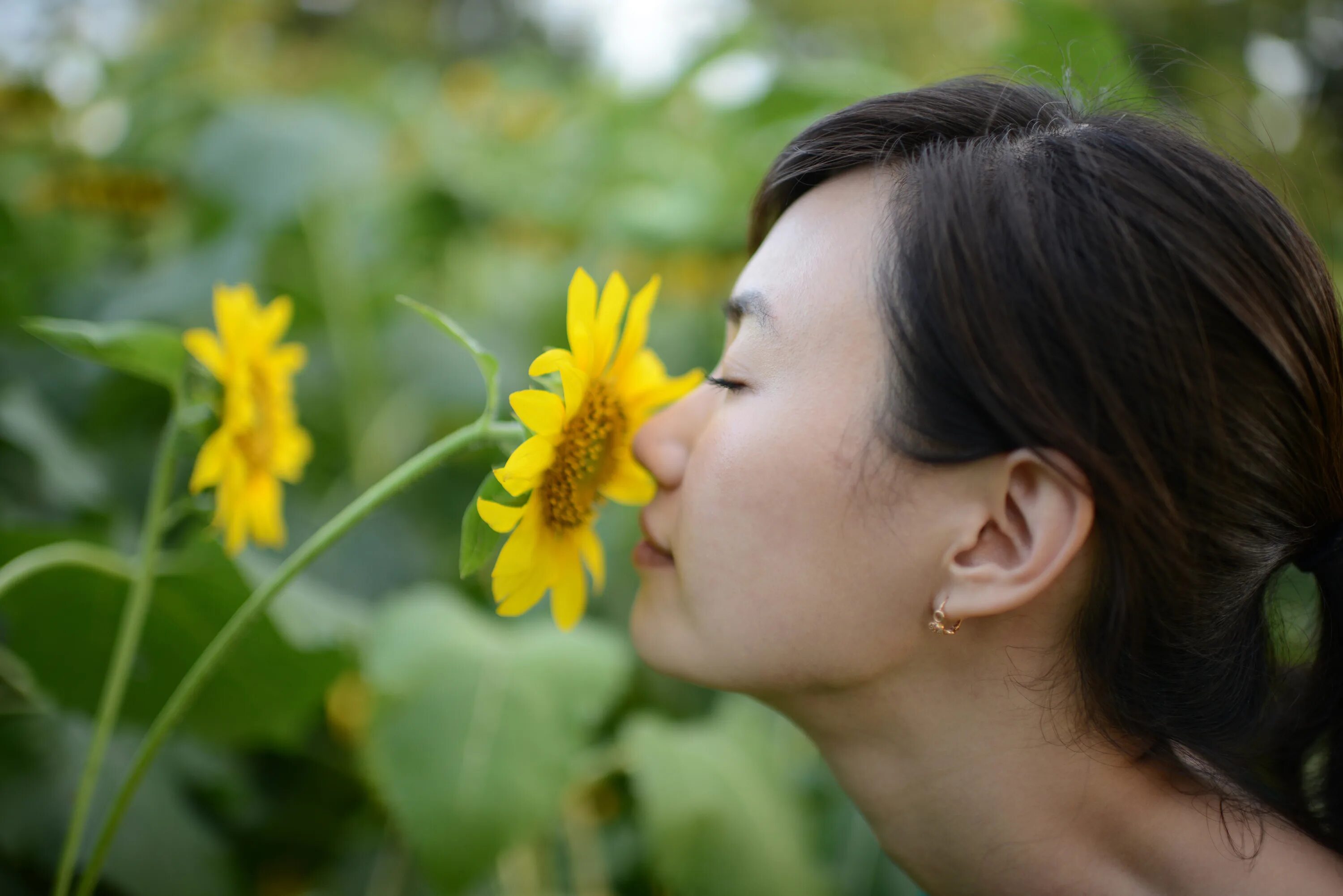 Запах цветов. Нос и цветок. Цветы с запахом. Flower smell фулл.