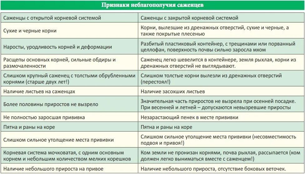 Совместимость миндаля. Таблица прививок плодовых деревьев. что на что можно прививать таблица. совместимость подвоя и привоя плодовых деревьев. совместимость прививок плодовых деревьев таблица.