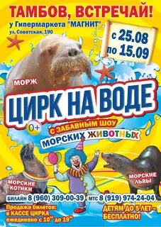 Цирк хабаровск афиша