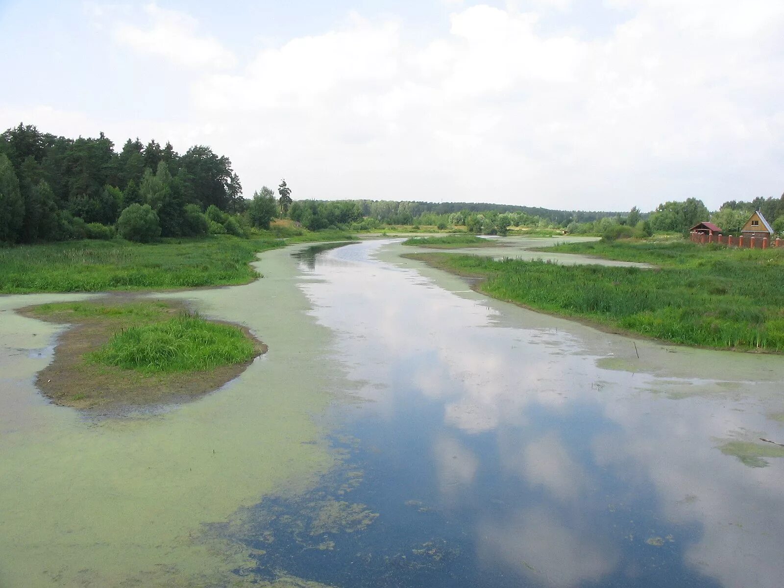 Вьюн - страшная рыба наших водоёмов Тимошин Рыбалка Дзен