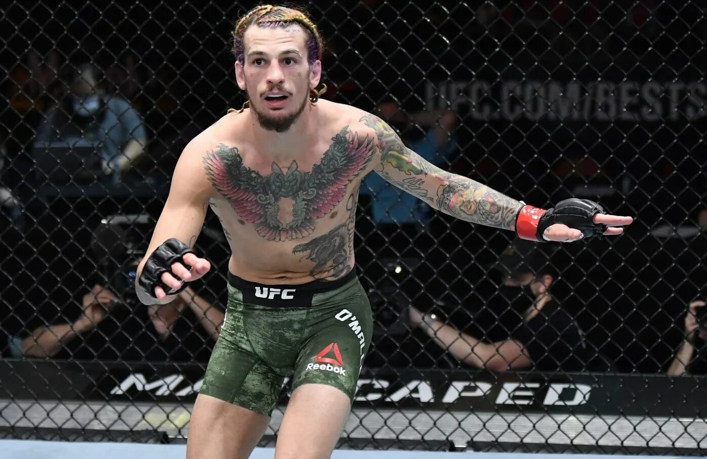 Шон омелли. Шон о мэлли боец юфс. Malley ufc. Malley ufc. Мма шон о'мэлли.