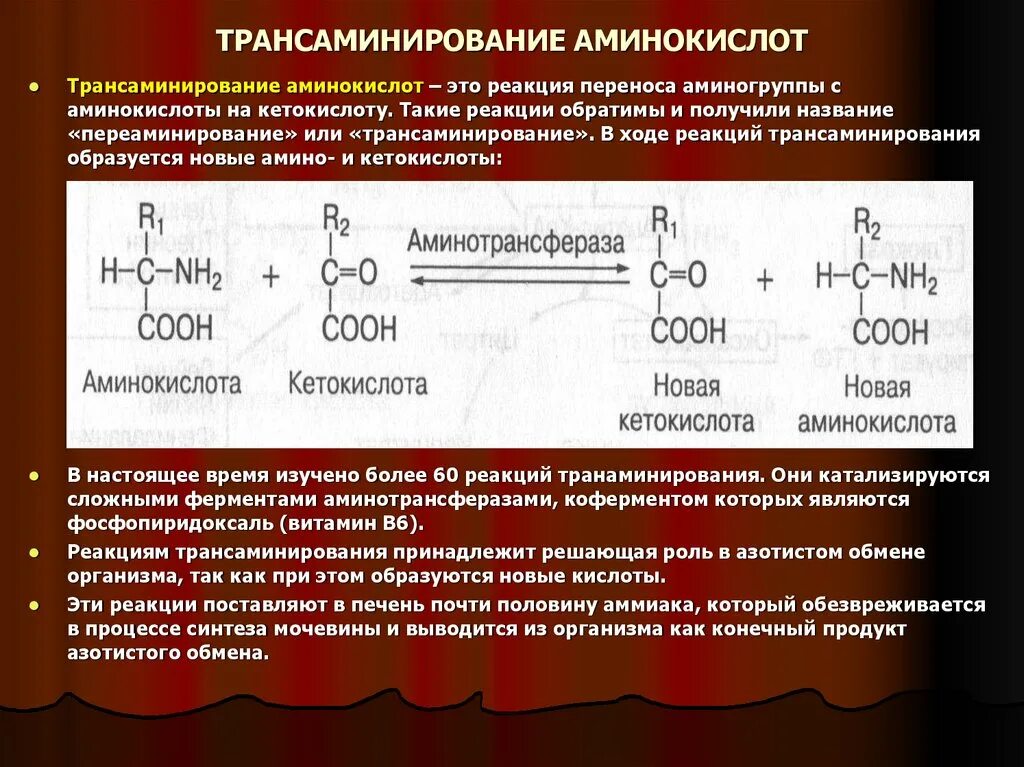 Объясните результат реакции. Валин трансаминирование. Реакция трансаминирования аминокислот. Трансаминирование треонина. Переаминирование (трансаминирование) аминокислот:.