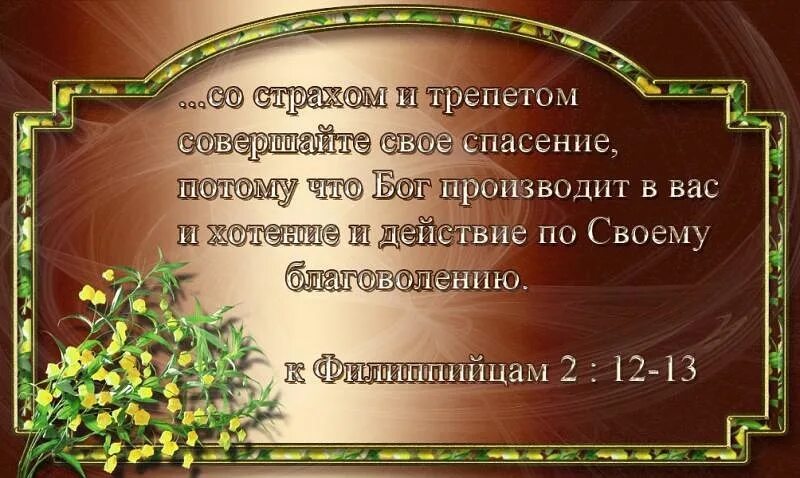 Благоговейный трепет. Со страхом и трепетом совершайте свое спасение. служите господу со страхом и радуйтесь с трепетом. бог производит в вас и хотение и действие по своему благоволению. служите господу со страхом и радуйтесь с трепетом картинки.
