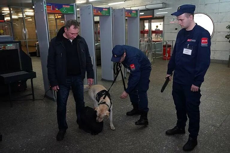 Работа транспортная безопасность вакансии