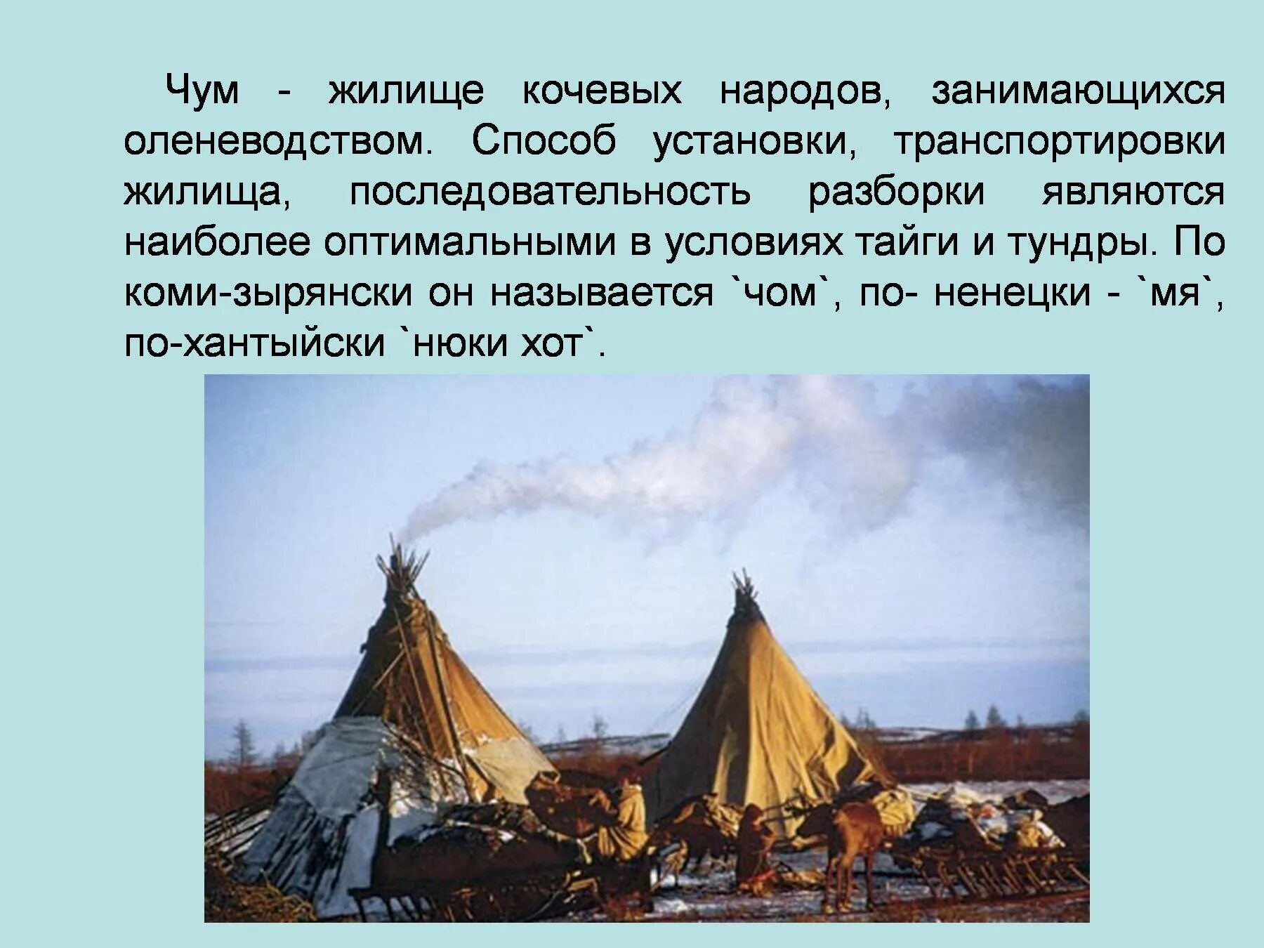 Названия кочевых народов. Жилище кочевых народов тундры. Жилище кочевых народов ненцев.