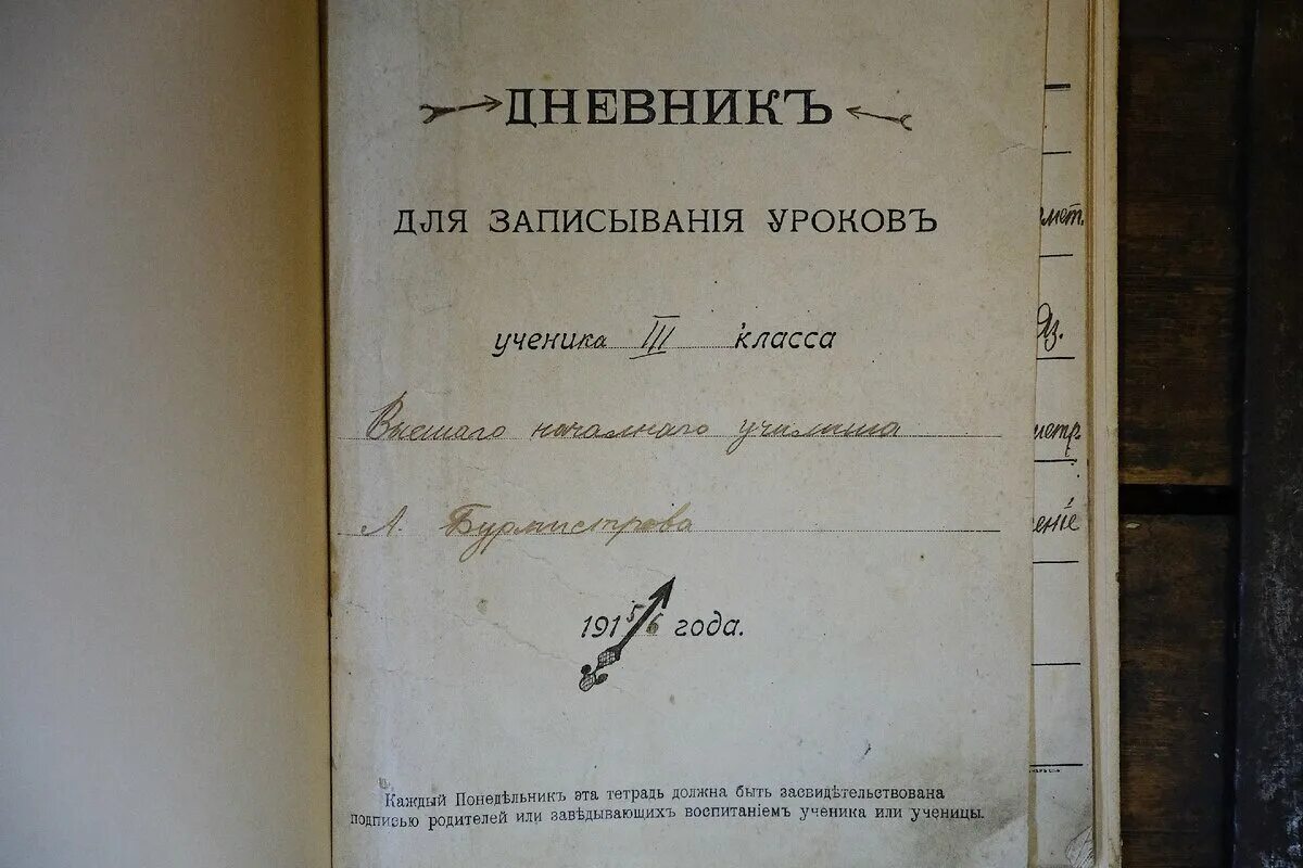 Прилежаева-барская. Дневник перовского. Первая страница дневника школьника. 1872 азбука л. Дореволюционный дневник.