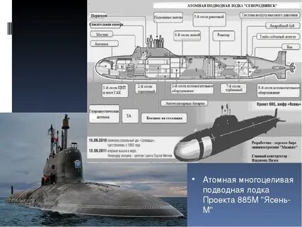 Ясень схема