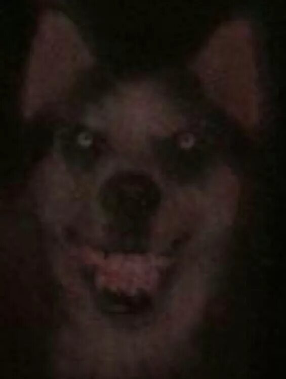 включи жуткие звуки