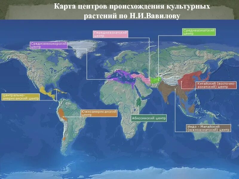 Карта Вавилова центры происхождения культурных растений. Центры происхождения культурных растений по н.и Вавилову. 8 Центров происхождения культурных растений Вавилов на карте. Индо малайский центр происхождения культурных растений.