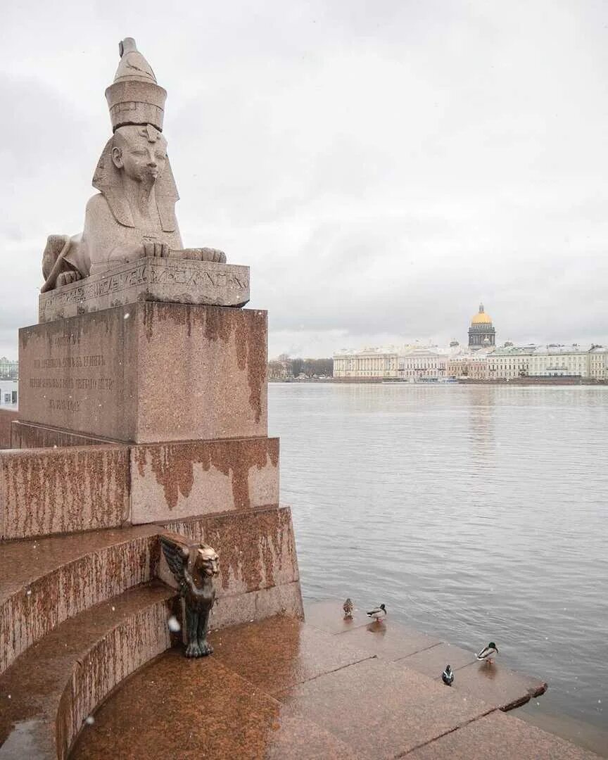 Сфинксы в питере. Сфинксы у Академии художеств в Санкт-Петербурге. Университетская набережная сфинксы Академия художеств. Сфинксы в Питере на Университетской набережной. Питер сфинксы Академия художеств.