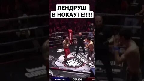 Бои лендруша