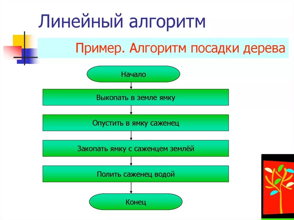 Действуем по алгоритму. Привести пример линейного алгоритма. Линейный алгоритм примеры 4 класс. Линейные алгоритмы по информатике 4 класс. Линейный алгоритм Информатика 8 класс примеры.