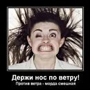 Нос по ветру