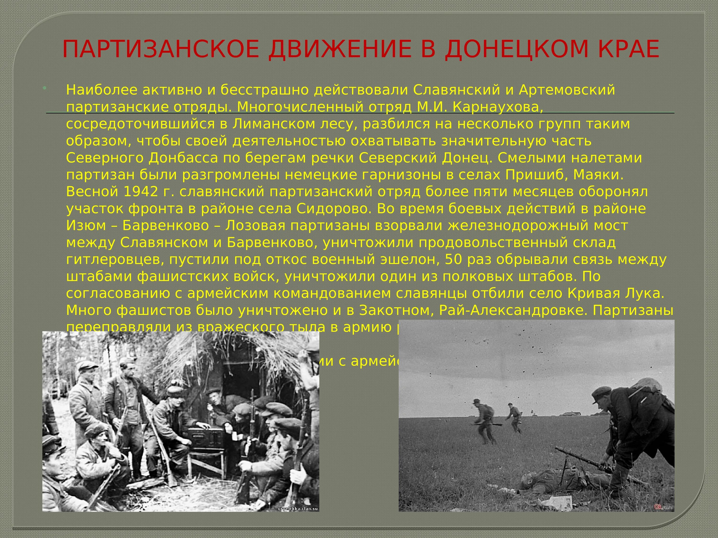 Партизанское движение вов кратко. Партизаны и подпольное движение. Партизанское движение. Партизанское движение в Донбассе. Партизанские отряды в Донбассе.