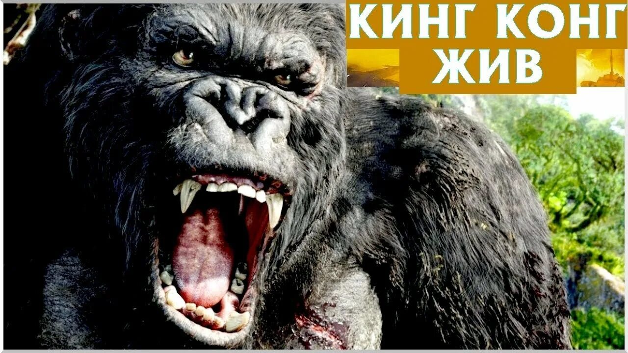 Кинг конг - жив 1986 сша. Кинг конг жив. Кинг конг живет. Кинг конг - жив 1986 сша. Кинг конг жив.