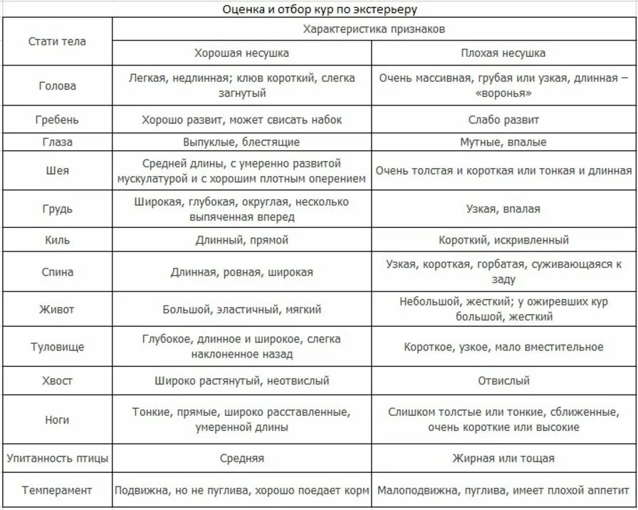 Какие лекарства цыплятам