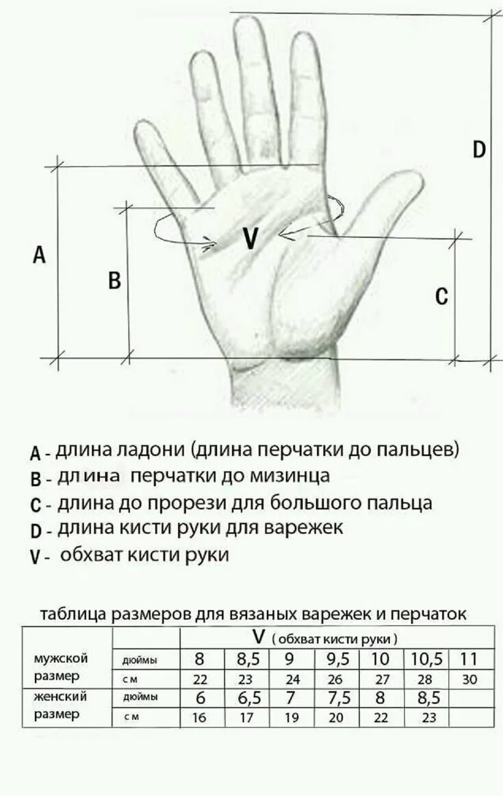 Длина пальцев женщин. Снятие мерок для вязания варежек. Как снять мерки для вязания варежек. Мерки для вязания рукавиц. Мерки для вязания варежек спицами.