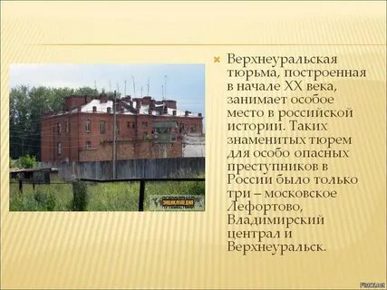 Колония рассказ