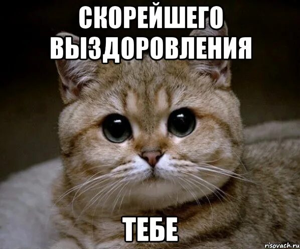 Скорее б