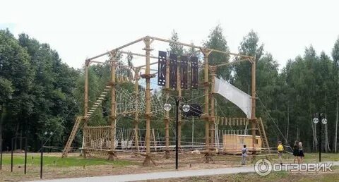 Сестрорецком парке клина
