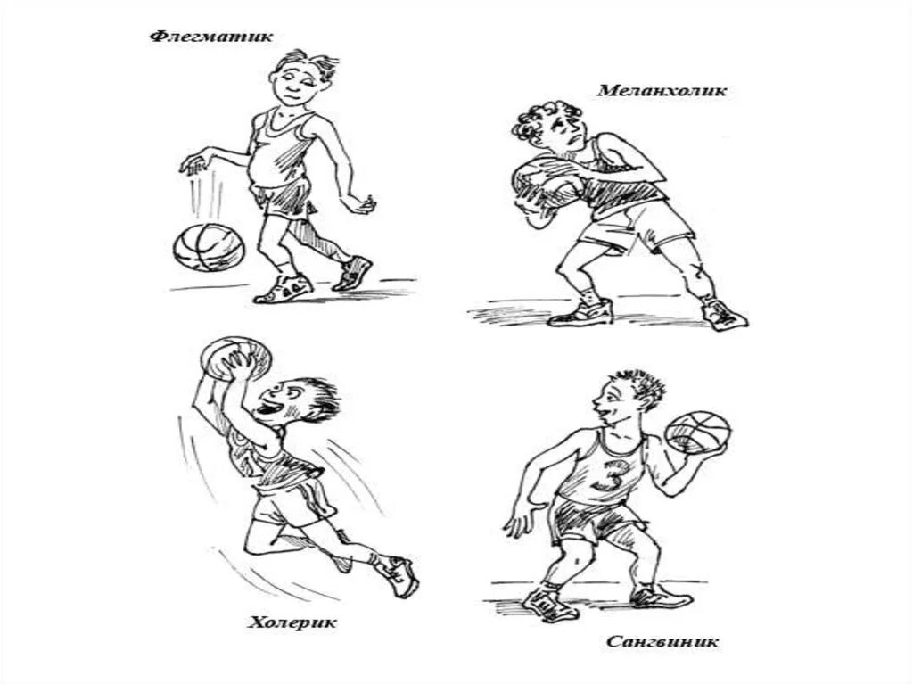 Темперамент в спорте. Темперамент рисунок. Типы темперамента. Типы темперамента рисунок. Типы темперамента в спорте.