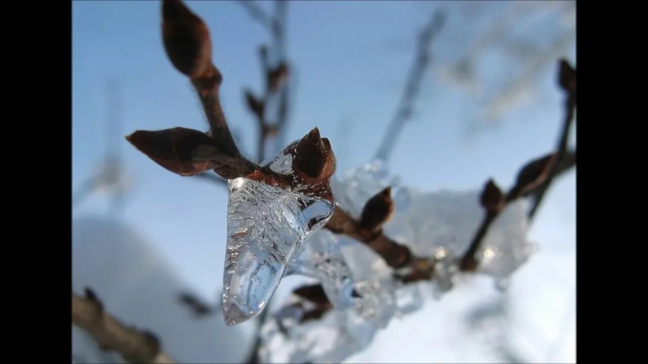 Природа оживает после зимнего сна найди. Пробуждение природы. Пробуждение весны. Весеннее Пробуждение природы.