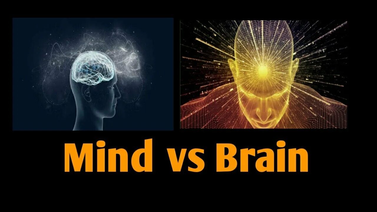 Brain vs Mind. Brain vs brain