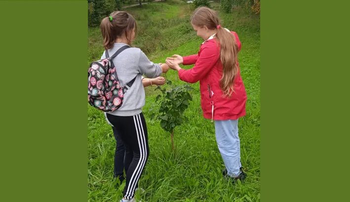 Даня милохин сейчас 2021. Жизнь дани. Даня молодец. Илья милохин в детстве маленький. Комнаты дани крап.