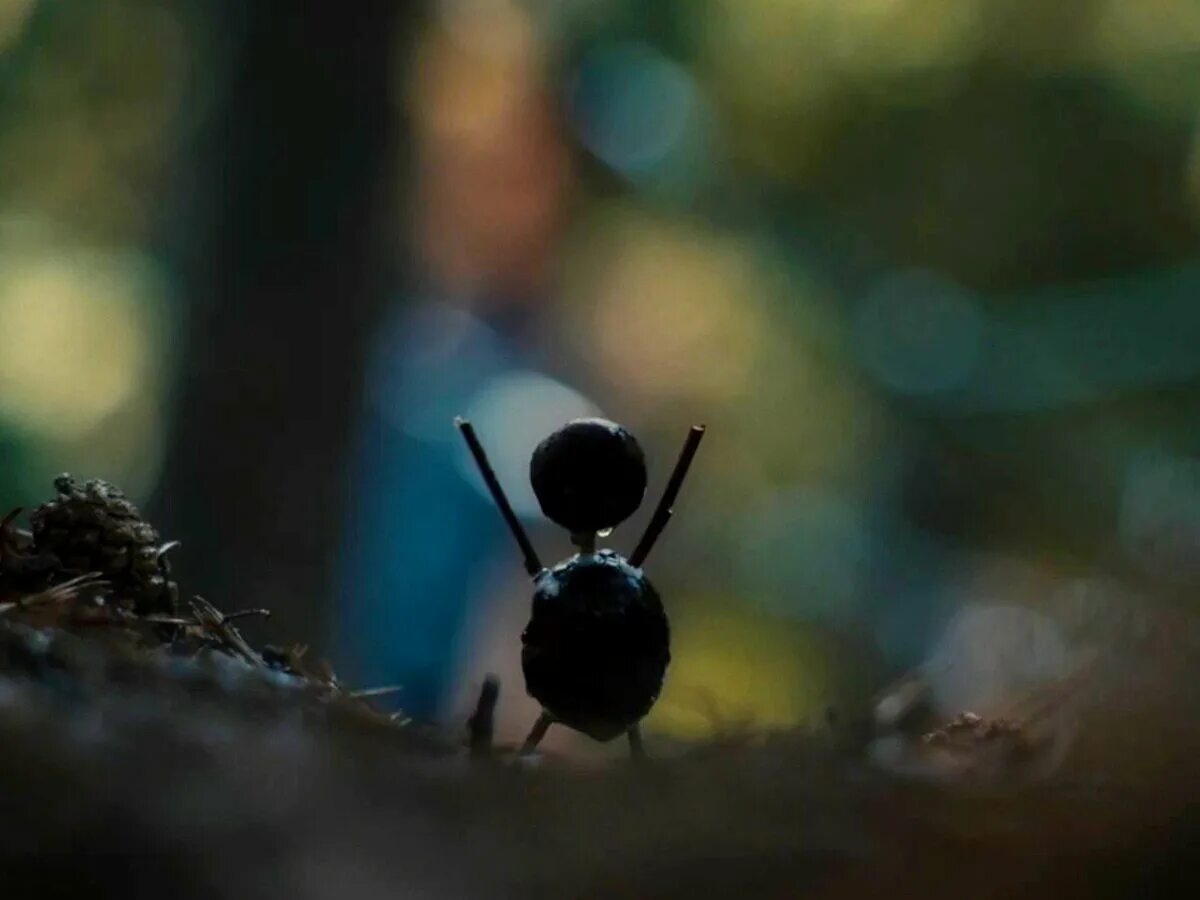 Каштановый человечек (the Chestnut man (Kastanjemanden)). Каштановый человечек Netflix. Каштановый человечек сколько