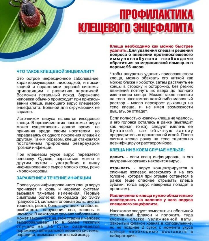 Памятка по профилактике клещевого энцефалита для родителей. Профилактика клещевого инцефалит. Профилактика против энцефалита. Профилактика клещевого вирусного энцефалита. Энцефалит памятка.